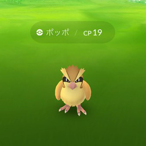 pokemongo_escape_bug_4