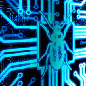 circuitboardbug