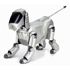 aibo