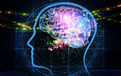 brain-map