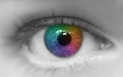 retina 2
