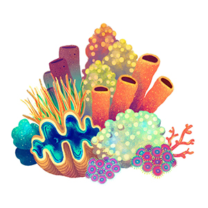 coral