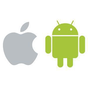 065e239c