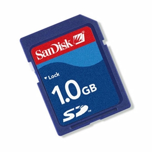 SanDisk-Standard-1gb-SD-cards