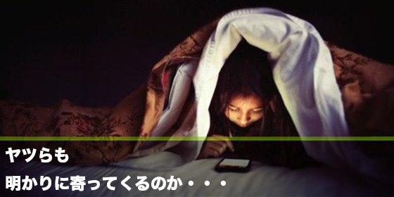 記事画像