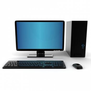 5029_it_professional__1__new