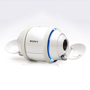 sonyrolly_foto