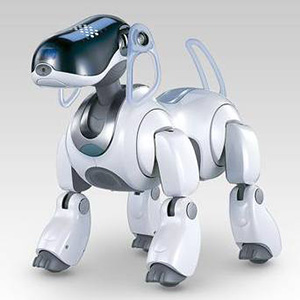 aibo