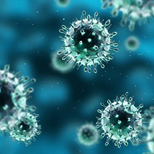 germs 1