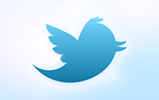 new_bird