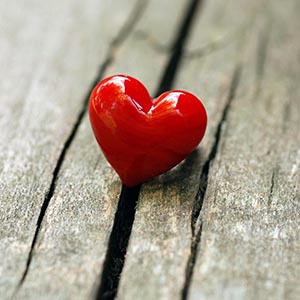 love