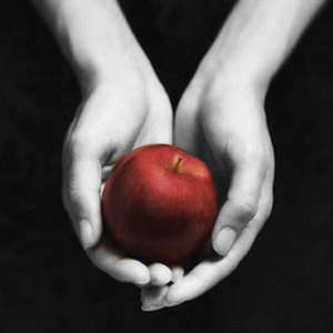Copy (2) of twilight-book-cover