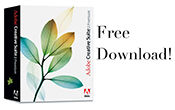 CS2-download