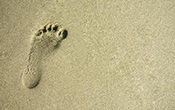 big-footprint