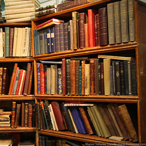 texture_bookshelf_by_naveki_maria-d3dhouc