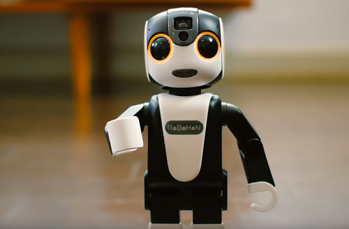 robohon002