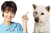 20120818_nyaran_18