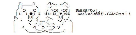 kobo