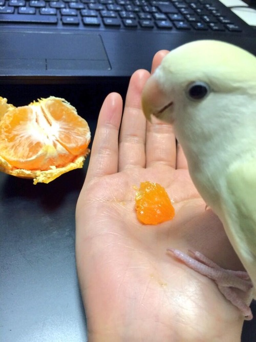 no title