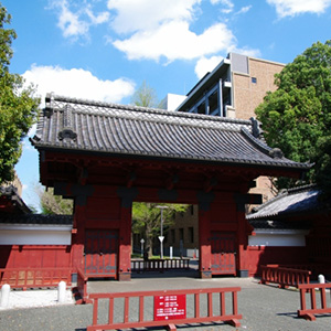 akamon