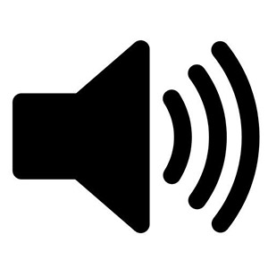 AudioIcon