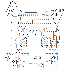 40