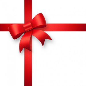 Holiday-present-e1324163207888