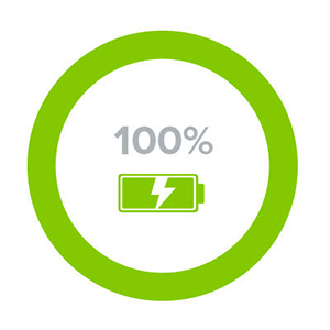 Battery-graph-100_1x