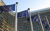 eu_flags