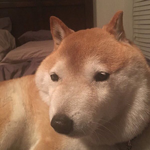 119