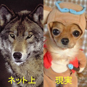 gazou_0345