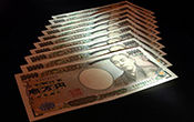 money81