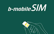 sim-260x378